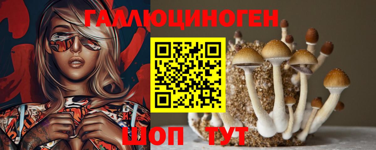 Псилоцибиновые грибы мицелий Верхний Уфалей